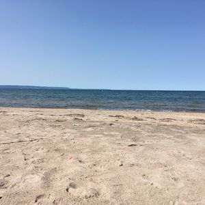 Meet your Posher, Josephine